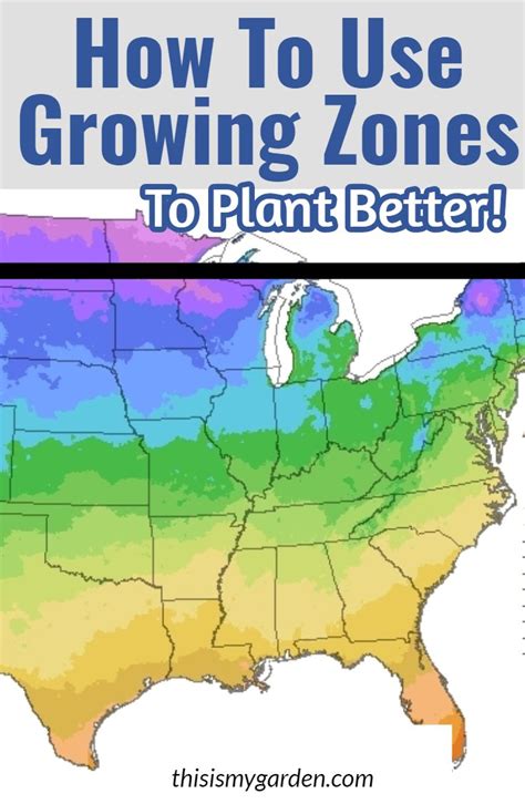 Understanding Your Growing Zone - How To Plant Smarter And Better ...