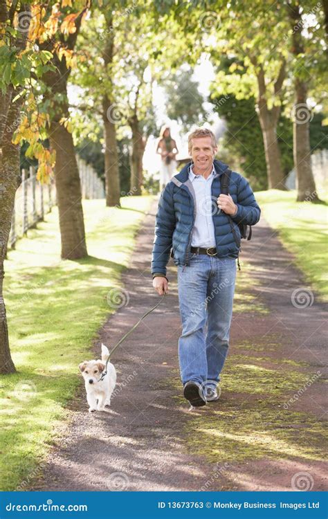 Man Walking Dog Outdoors in Autumn Park Stock Image - Image of outside ...