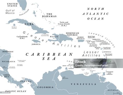 The Caribbean Sea And Its Islands Gray Political Map Stock Illustration ...