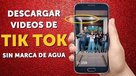 C Mo Descargar Un Video De Tik Tok Sin Marca De Agua Tutorial F Cil