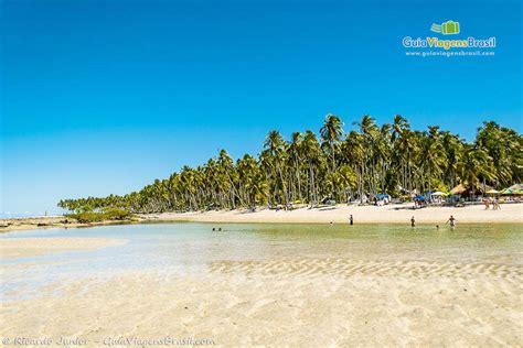 Praia Dos Carneiros Pe O Que Saber Antes De Ir Fotos E O Que Fazer