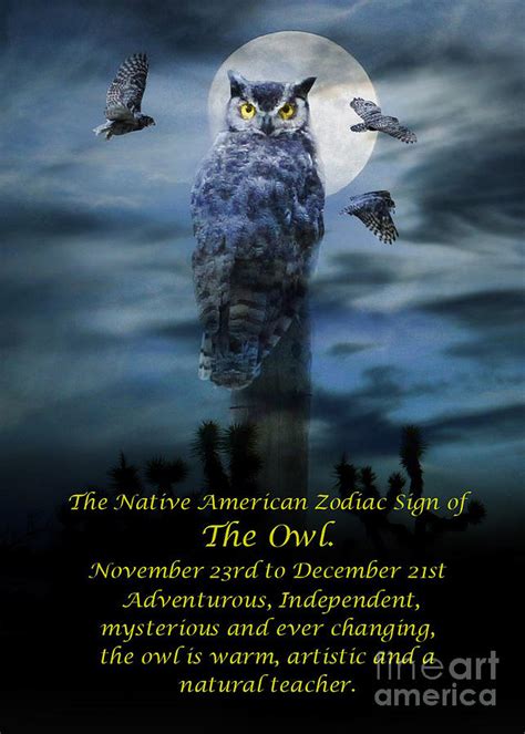 The Native American Zodiac Sign of the Owl Photograph by Stephanie Laird