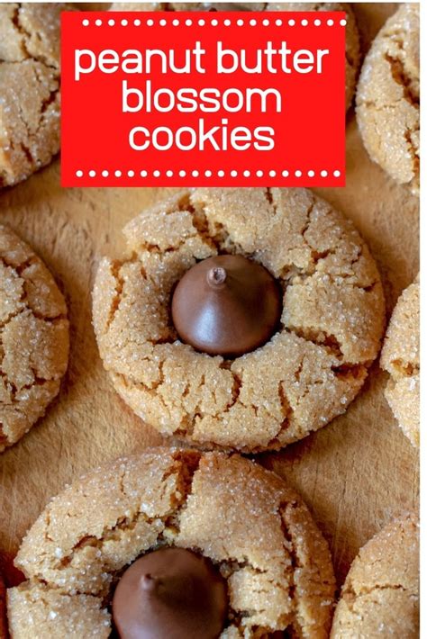 Peanut Butter Blossoms Cookie Recipe - Hershey Kiss Classic! - Thrifty Jinxy