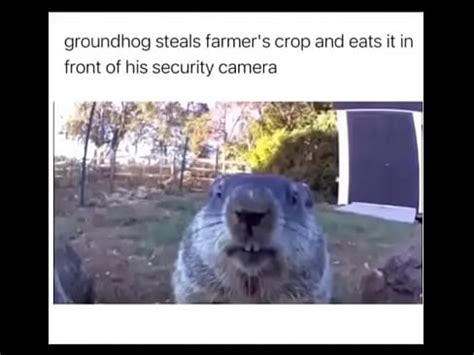 Farmer Gets Destroyed By Furry XVIDEOS