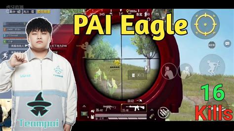 PAI EAGLE RANK PUSH IN ACE RANKED LOBBY WITH RAMDOMS TEAM PAI EAGLE