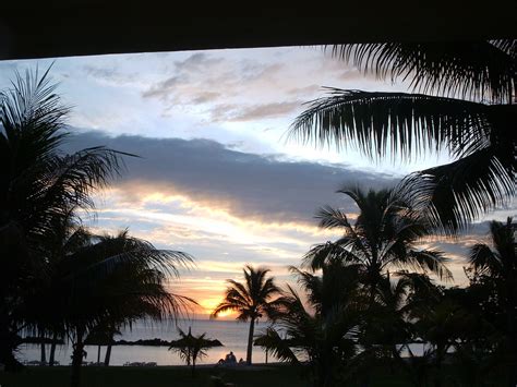 X Wallpaper Coconut Trees Near Ocean During Sunset Peakpx