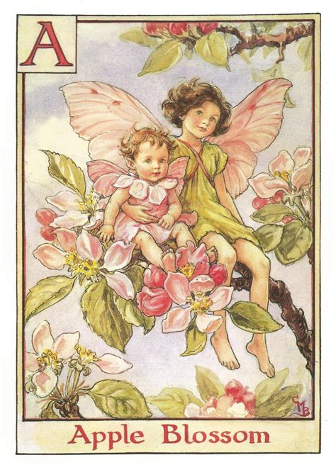 Cicely Mary Barker The Apple Blossom Fairy Page Size 7 Wide X 10