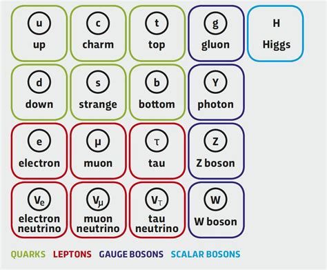 Standard Model Of Elementary Particles Bbc Science Focus Magazine