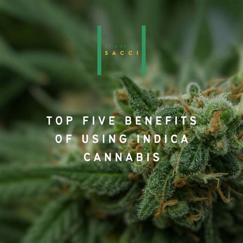 the top five benefits of using Indica cannabis — HOUSE OF SACCI