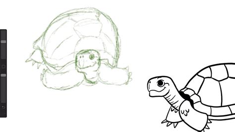 Escape Galapagos Galapagos Tortoise Drawing Tutorial YouTube