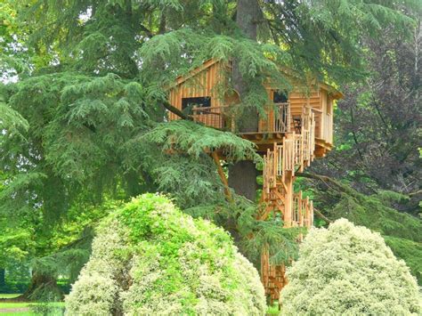 Cabane Dans Les Arbres Dans Les Pyr N Es Atlantiques Pr S Du Pays