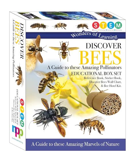 Wonders Of Learning Discover Bees Educational Box Set Books And You