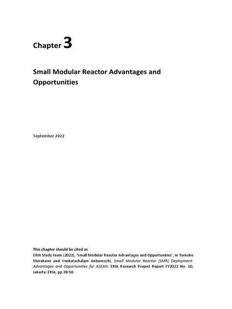 08 Chapter 3 Small Modular Reactor Advantages And Opportunities Pdf Nuclear Power