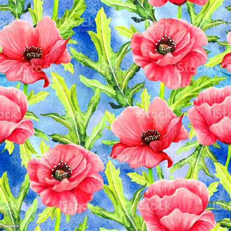 Poppy Flowers Watercolor Seamless Pattern Stock Illustration Download