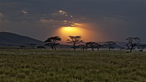 africa, Kenya, Savannah, Sunset, Sky, Clouds, Trees Wallpapers HD ...