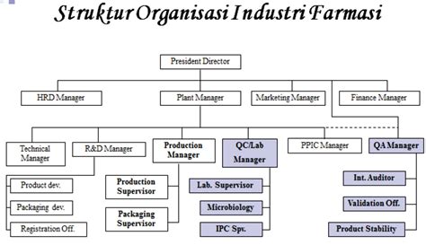 Tugas Qa Di Industri Farmasi Homecare