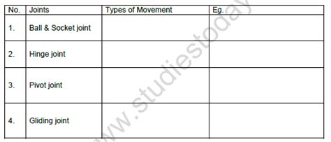 Cbse Class 6 Science Body Movements Worksheet Set A