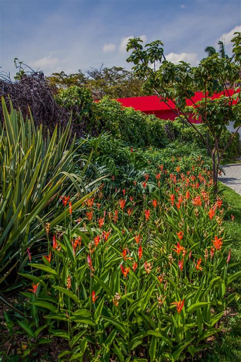 Fauna y Flora en la UPB | UPB