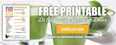 Dr Oz Detox Smoothie 3 Day Detox By Blender Babes