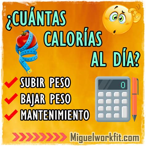 ¿cuántas Calorías Debes Consumir