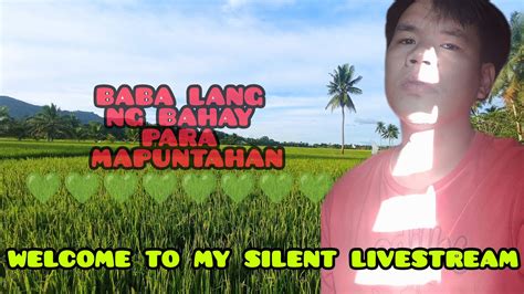 SILENT LIVE FOR WH PATAMSAK LANG PO YouTube