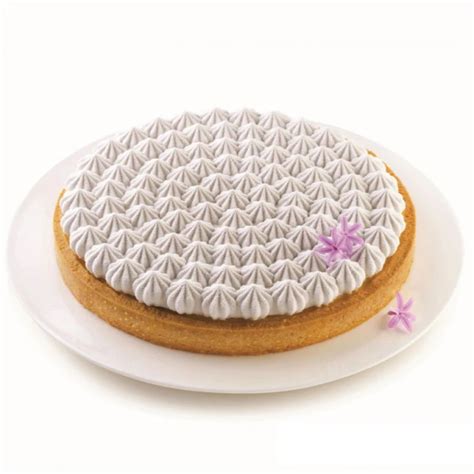 Achetez Moule En Silicone Cercle Tarte Meringue Silikomart D Design