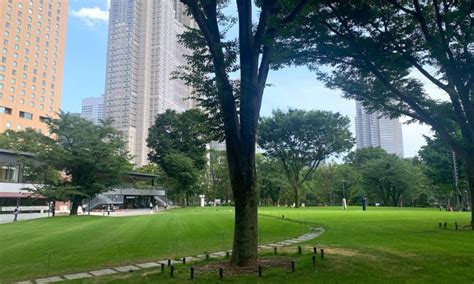 Shinjuku Central Park (新宿中央公園)