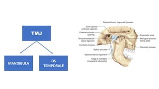 PPT GANGGUAN TMJ Pptx