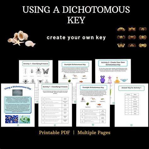 Using A Dichotomous Key Etsy