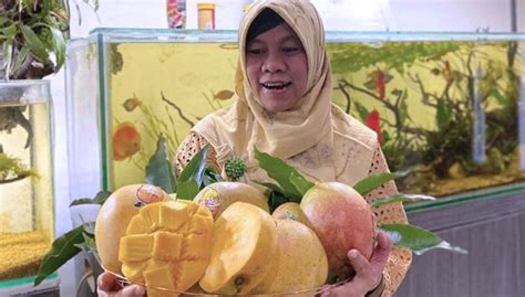 Asli Indramayu Inilah Agrimania Salah Satu Mangga Termahal Di