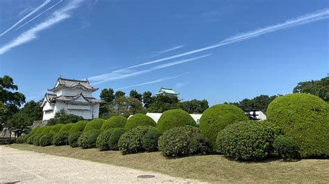 Nagoya Castle Highlights Of Sightseeing History Explained In An