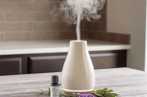 Essential Oils In Humidifier Learn What We Can Put Oils In Humidifier