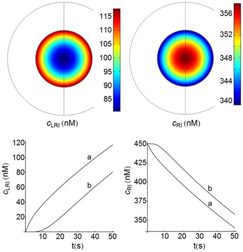 Spatio Temporal Distributions Of LRI And RI Species Top 2D Spatial