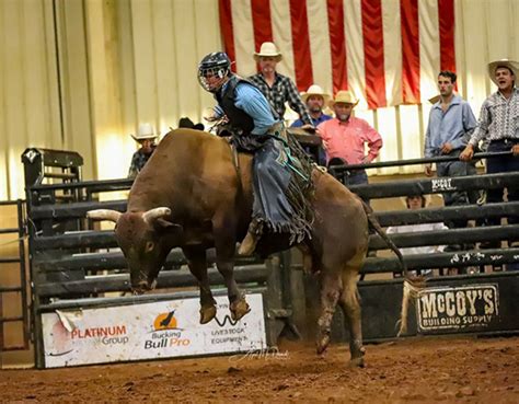 Bull Riding and Rodeo : Bucking Bull Training : Bonsall Bucking Bulls