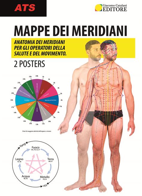 Mappe Dei Meridiani Anatomia Dei Meridiani Per Gli Operatori Della