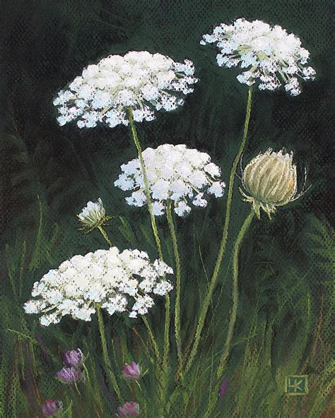 Queen Annes Lace Art Print By Lisa Kretchman In 2020 Floral Painting