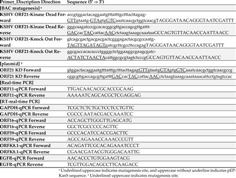 Primers For Bac Mutagenesis Construction Of Expression Plasmids