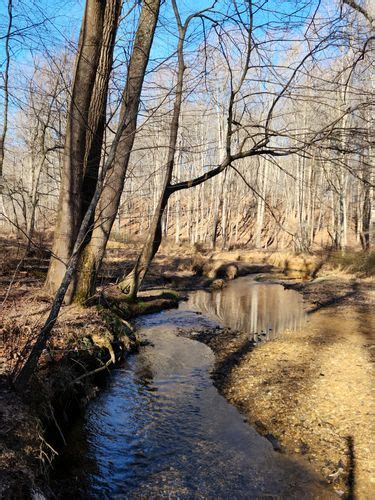 Best Hikes And Trails In Magruder Branch Stream Valley Unit 1 AllTrails