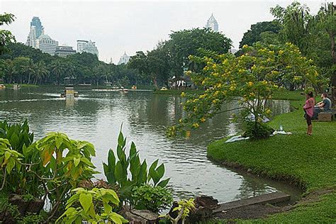 Lumpini Park is one of the very best things to do in Bangkok