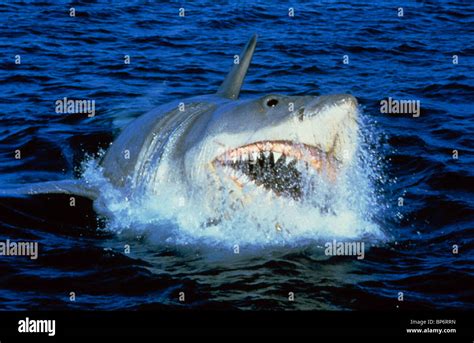 Great White Shark Jaws Iii Jaws 3 D 1983 Stockfotografie Alamy