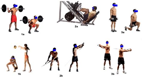 Lower extremity and trunk rotation exercise. | Download Scientific Diagram