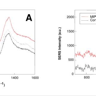 Sers Spectra Of A Tnt Doped Xerogel Mip Deposited On Klarite Substrates