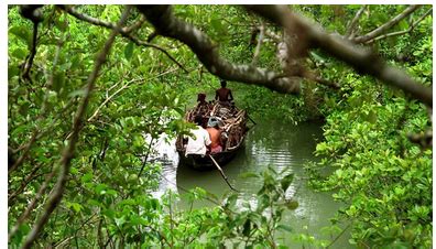 Sundarban Package Tour At Rs 4500 Pack In Kolkata ID 20017985012