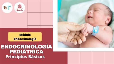 Endocrinología Pediátrica principios básicos PEDsIgUR módulo