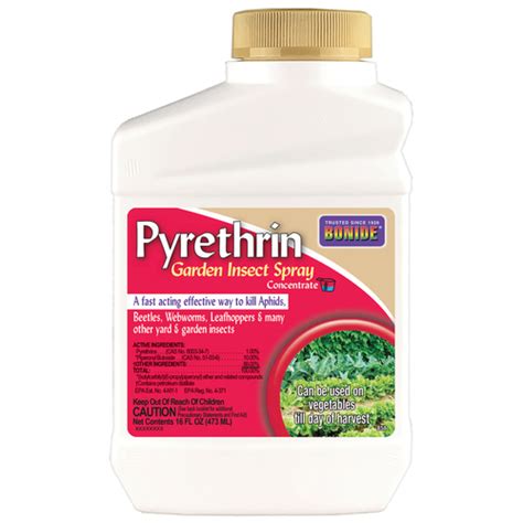 Bonide 858 Insect Killer Pyrethrin Spray Organic Liquid Concentrate 16 Oz