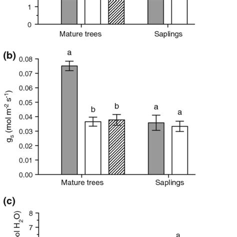 Net Photosynthetic Capacity A Max A Net Stomatal Conductance G S