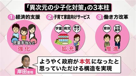 【画像】｜【解説】国や東京都「新対策」発表 “異次元”少子化の歯止めに？ 専門家「最大の問題は教育費」｜画像詳細｜2ページ目｜日テレnews Nnn