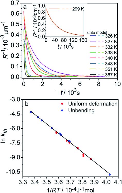 Temperature Dependent Dynamics Of Straightening Due To Thermal