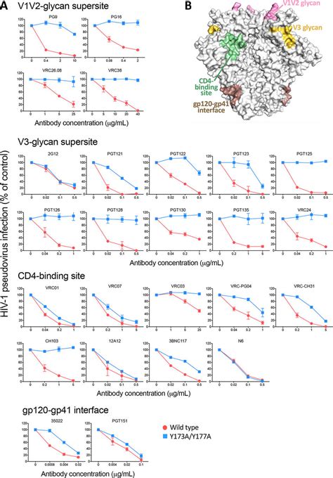 V2 Loop Tyrosine Mutation Decreases Neutralization Sensitivity To