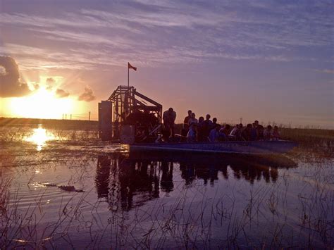 Everglades Airboat Gator Night Tour - Fort Lauderdale | Project Expedition